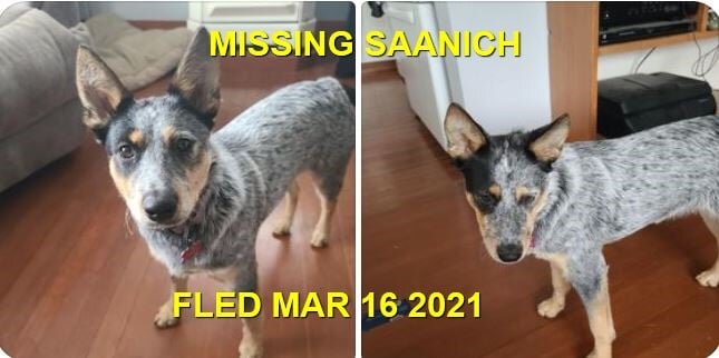 HAPPY ENDINGS - SAANICH BC - MAR. 16, 2021