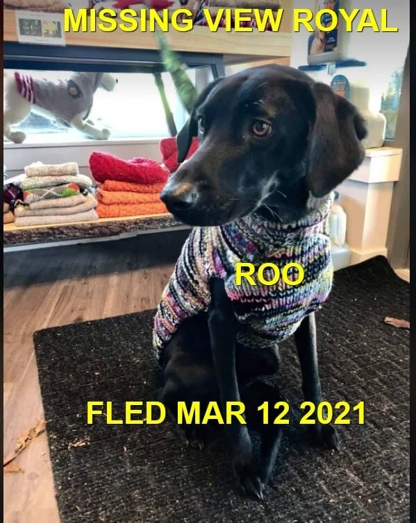 HAPPY ENDINGS - VIEW ROYAL BC - ROO - MAR. 12, 2021