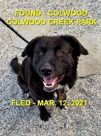 HAPPY ENDINGS - COLWOOD BC - MAR 12, 2021