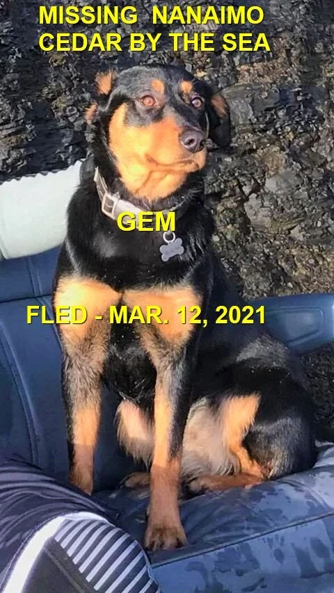 HAPPY ENDINGS - NANAIMO BC - GEM - MAR 11, 2021