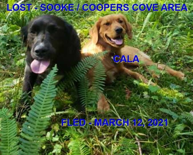 HAPPY ENDINGS - SOOKE - CALA - MAR 11, 2021