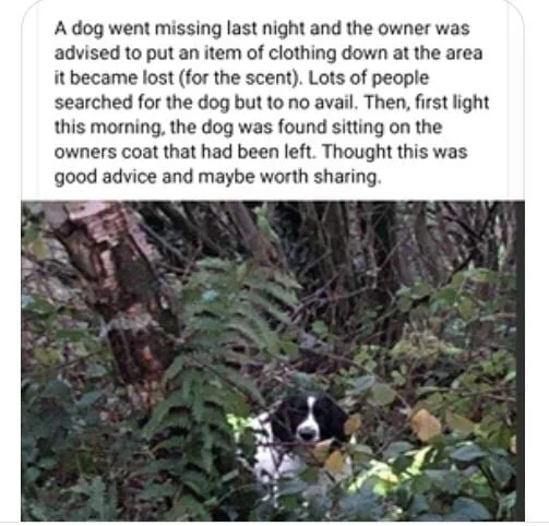 PSA - TIP TO HELP FIND LOST DOGS - MAR 1, 2021
