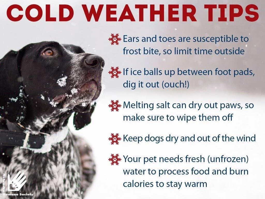 PSA - COLD WEATHER TIPS 
