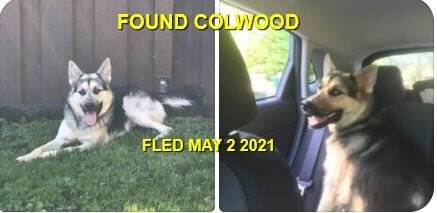 HAPPY ENDINGS - COLWOOD BC - MAY 2, 2021