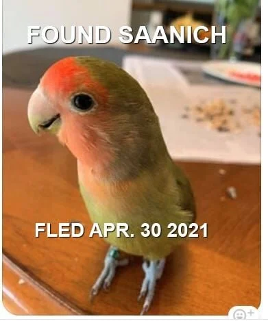 HAPPY ENDINGS - SAANICH BC - APRIL 30, 2021