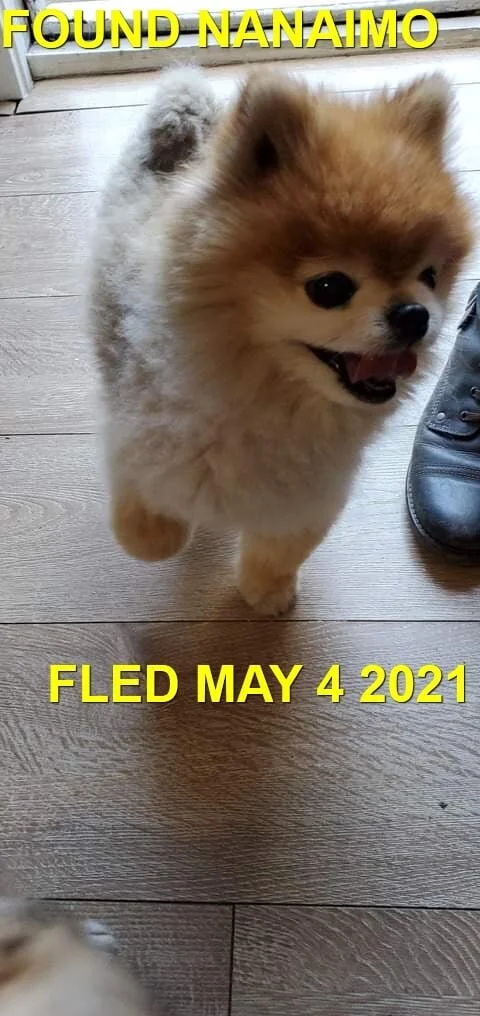 HAPPY ENDING - NANAIMO BC - MAY 4, 2021