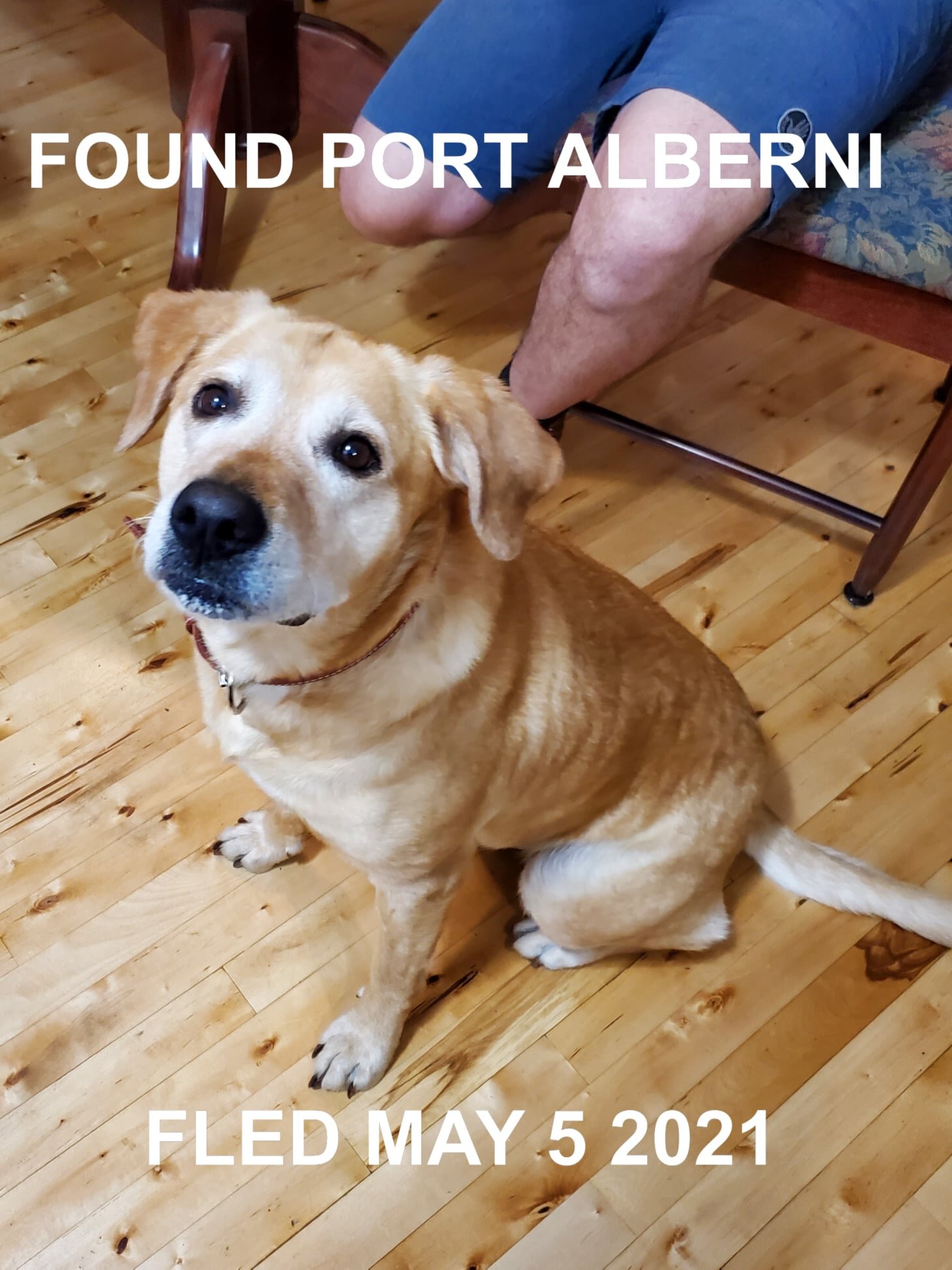 HAPPY ENDINGS - PORT ALBERNI BC - MAY 5, 2021