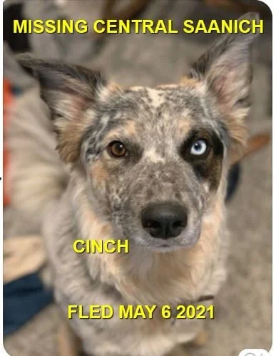 HAPPY ENDINGS - CENTRAL SAANICH BC - CINCH - MAY 6, 2021