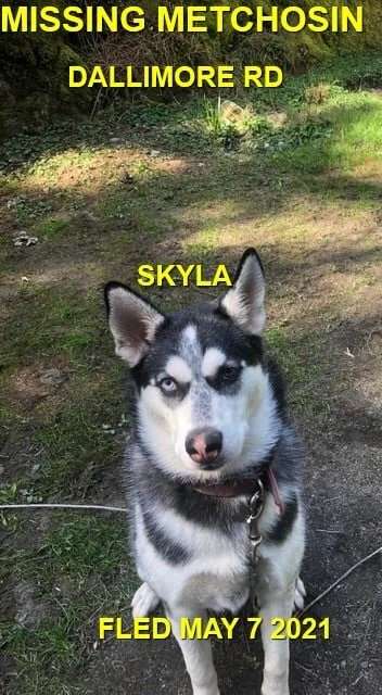 HAPPY ENDINGS - METCHOSIN BC - SKYLA -  MAY 7, 2021