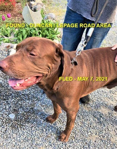 HAPPY ENDINGS - DUNCAN BC - MAY 7, 2021