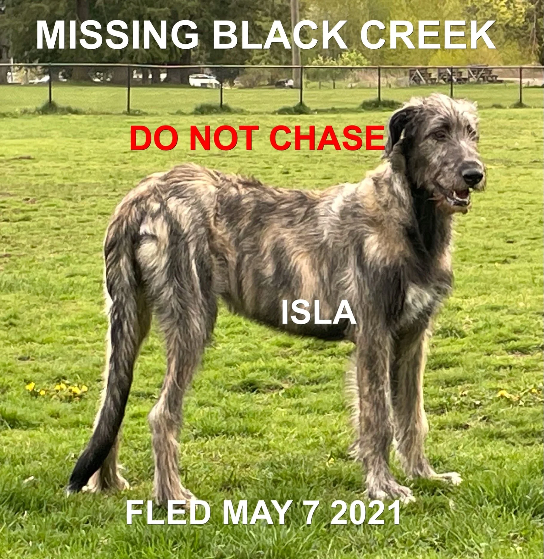 HAPPY ENDINGS - BLACK CREEK BC - ISLA - MAY 7, 2021