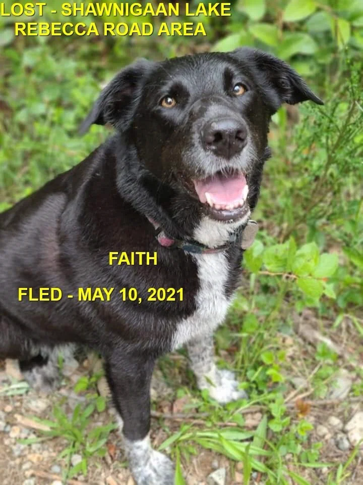 HAPPY ENDINGS - SHAWNIGAN BC. - FAITH - MAY 10, 2021