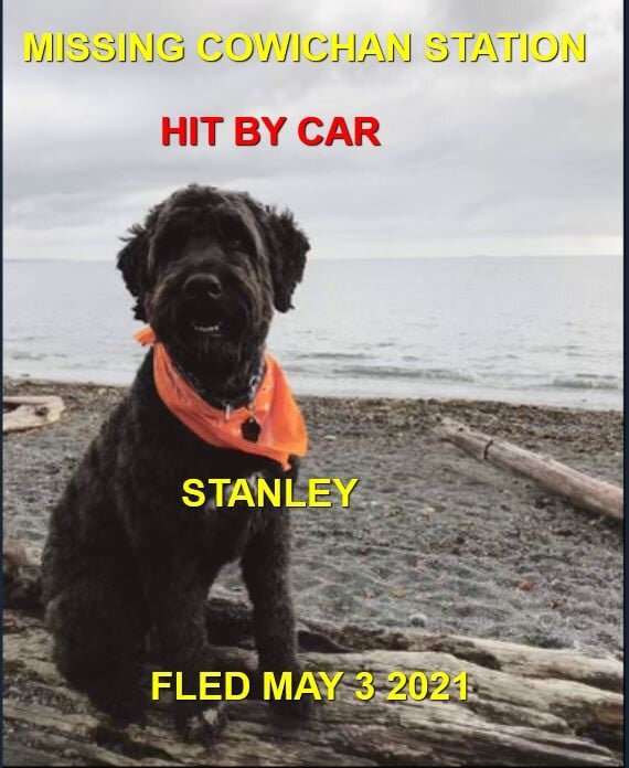 HAPPY ENDINGS - COWICHAN STATION BC - LUCKY STANELY - MAY 3, 2021 