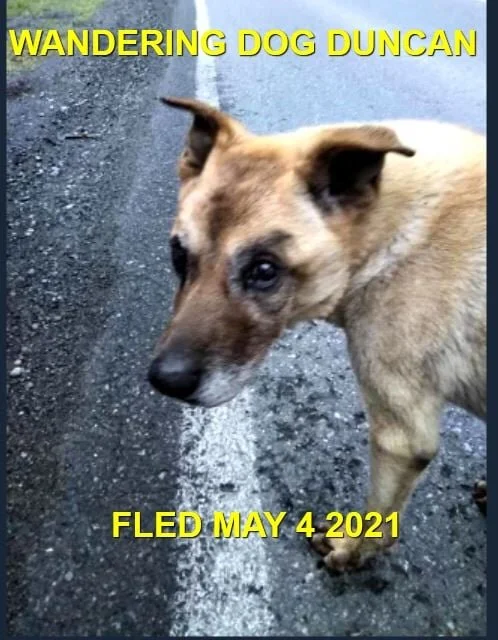 GONE TO SHELTER AFTER TAKEN TO WAVES - LANGFORD BC - MAY 4, 2021