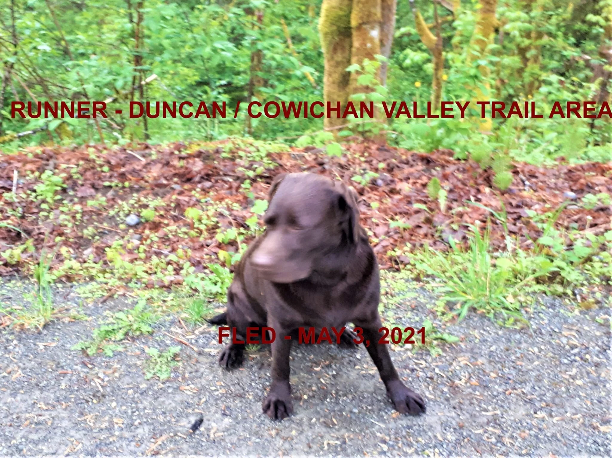 HAPPY ENDINGS - DUNCAN BC - MAY 3, 2021