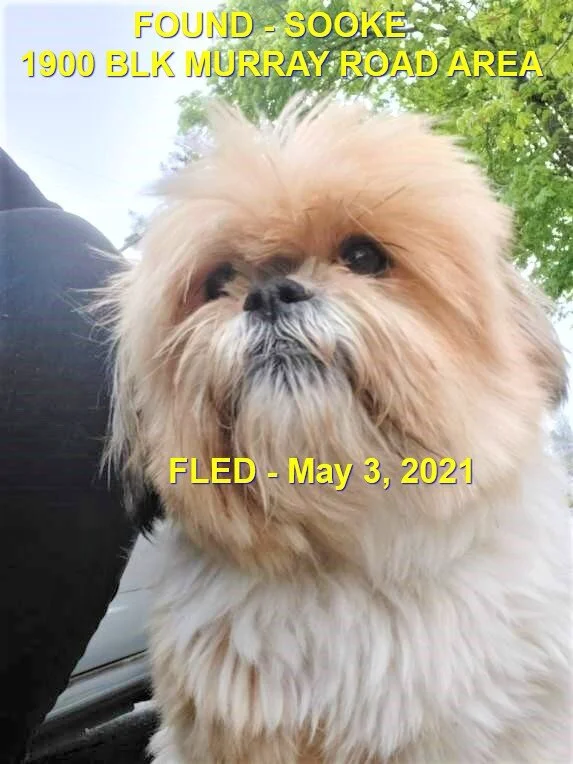 HAPPY ENDINGS - SOOKE BC - MAY 3, 2021