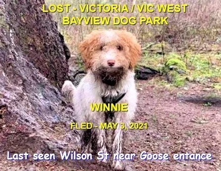HAPPY ENDINGS - VICTORIA / VIC WEST - WHINNIE - MAY 4, 2021