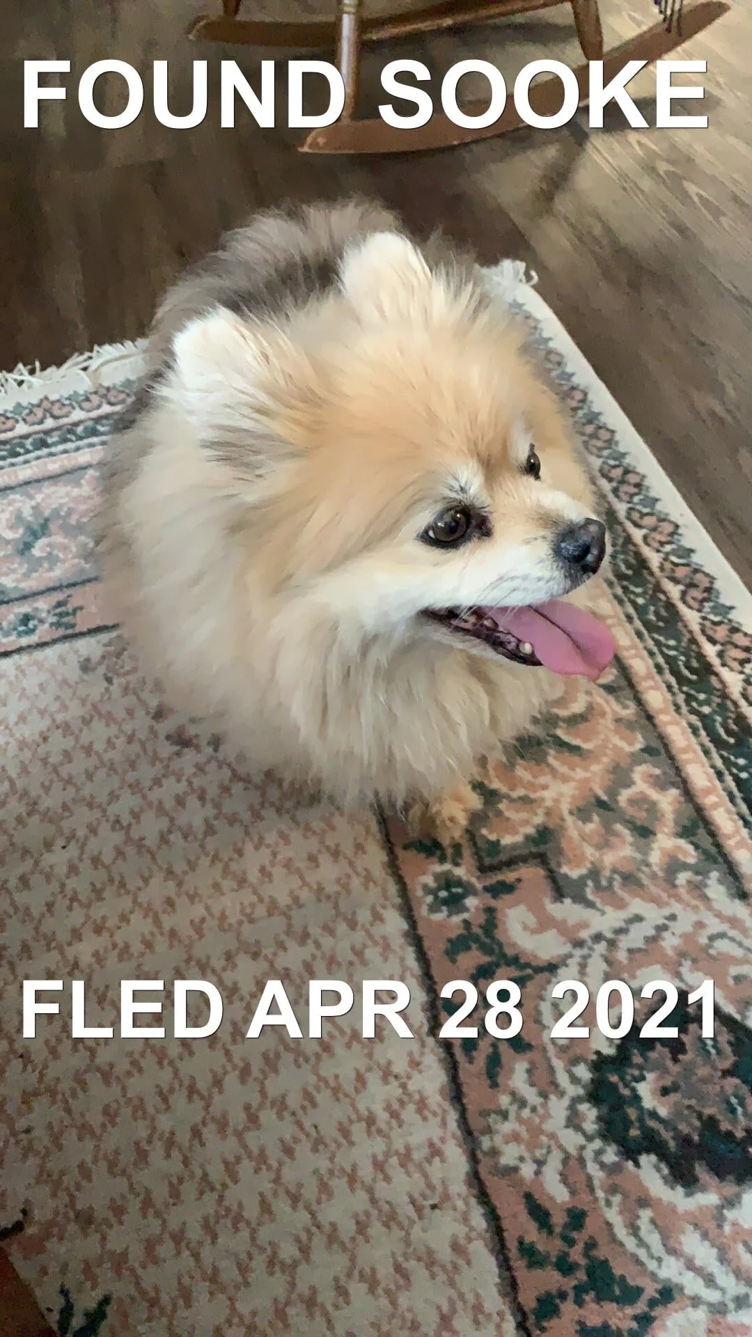 HAPPY ENDINGS - SOOKE BC - APRIL 28, 2021