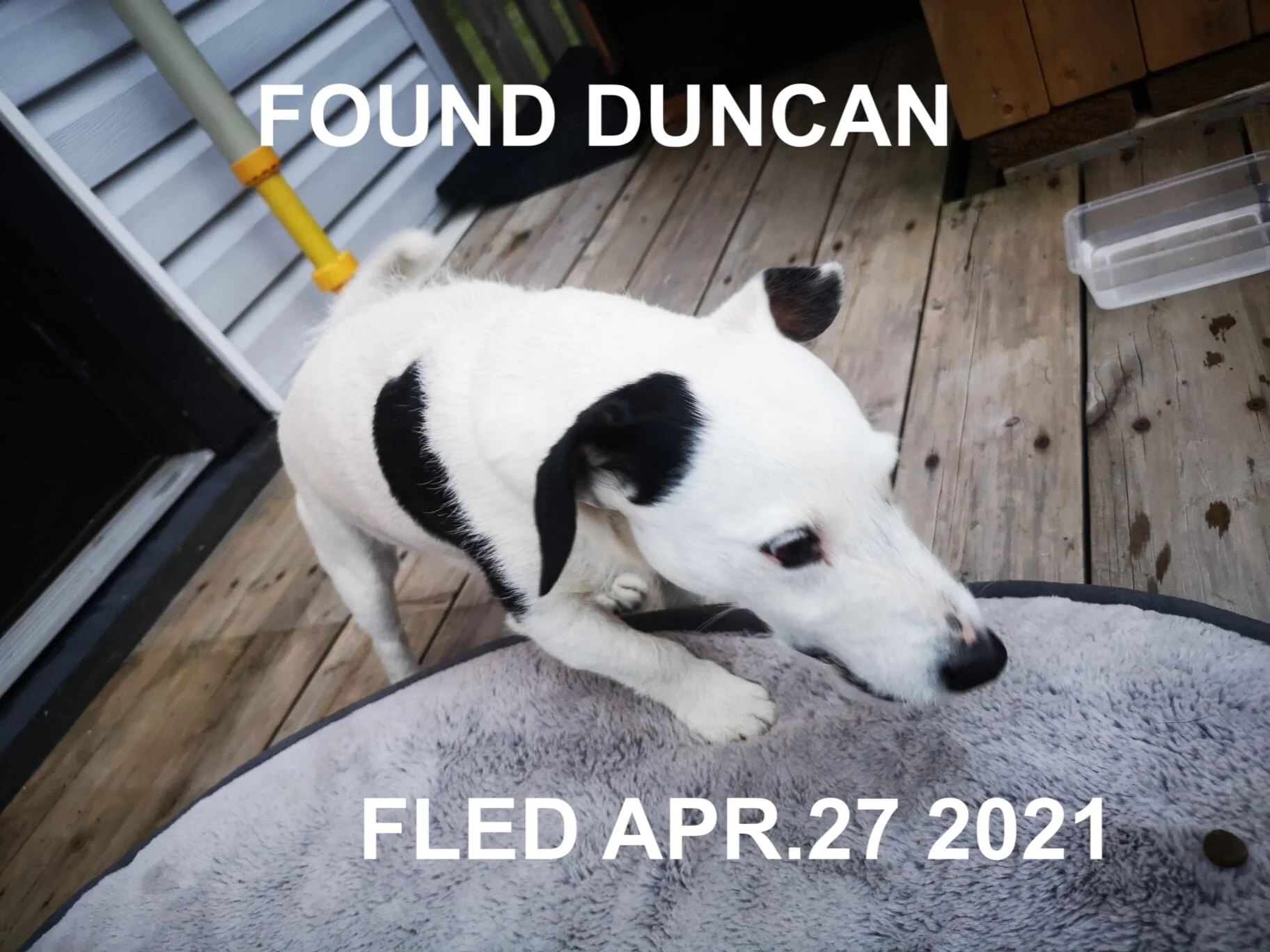 HAPPY ENDINGS - DUNCAN BC - APRIL 27, 2021