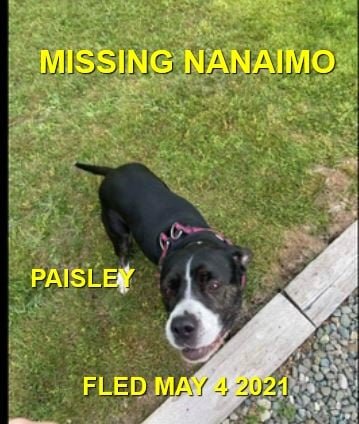 HAPPY ENDINGS - NANAIMO BC - PAILSEY - MAY 4, 2021