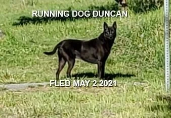 UNRESOLVED - DUNCAN BC - MAY 2, 2021