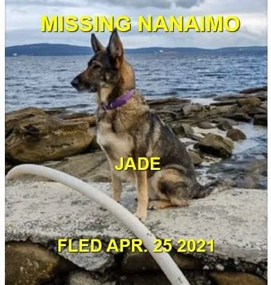 HAPPY ENDINGS - NANAIMO BC - JADE - APRIL 25, 2021