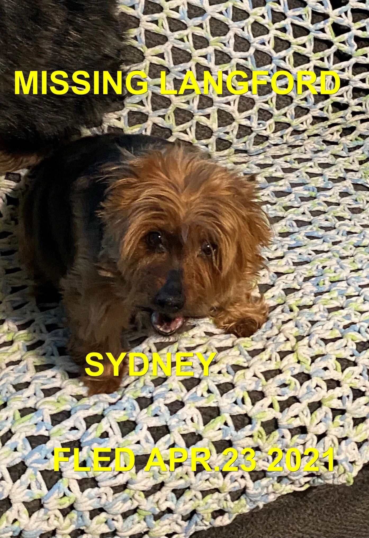 HAPPY ENDINGS - LANGFORD BC - SYDNEY - APRIL 23, 2021