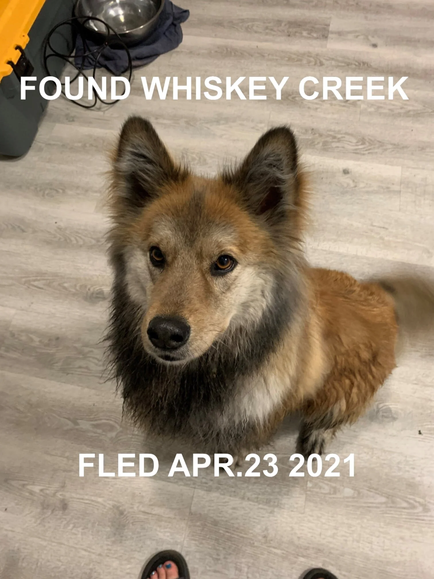 HAPPY ENDINGS - WHISKEY CREEK BC - 