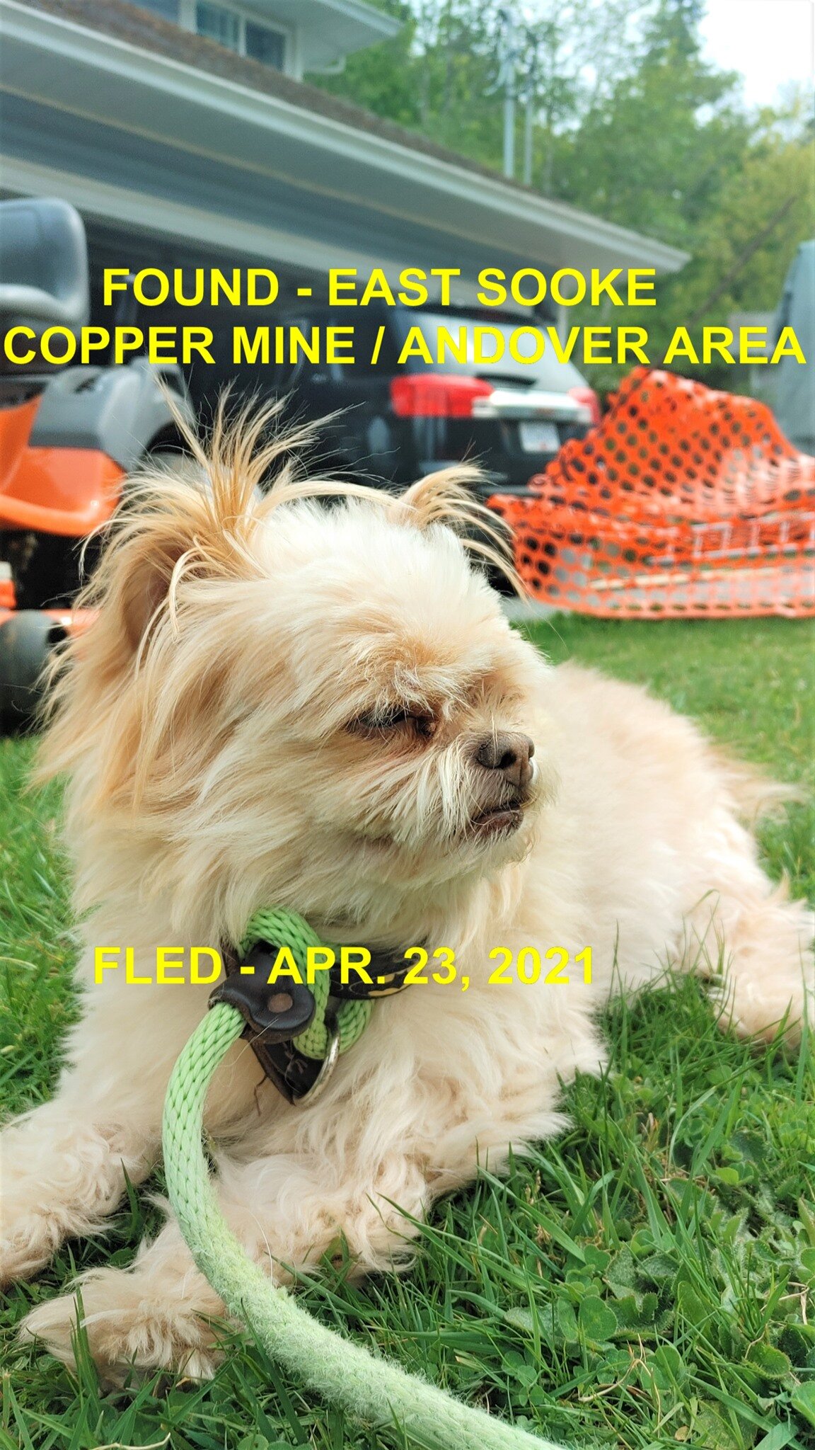 HAPPY ENDINGS - EAST SOOKE BC - APRIL 23, 2021