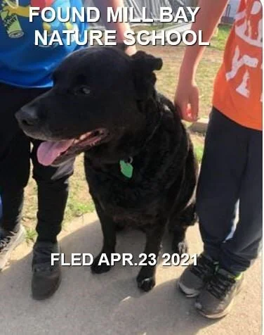 HAPPY ENDINGS - MILL BAY BC - APRIL 23, 2021 