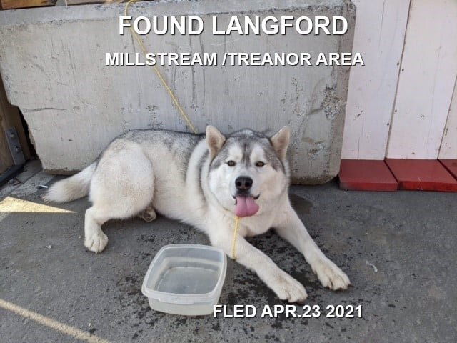 HAPPY ENDINGS - LANGFORD BC - APRIL 23, 2021