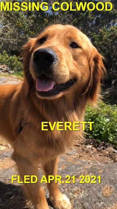 HAPPY ENDINGS - COLWOOD BC - EVERETT - APRIL 21, 2021