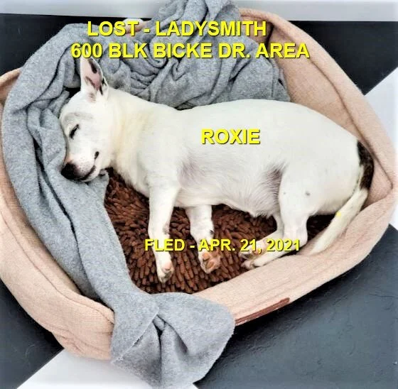 HAPPY ENDINGS - LADYSMITH BC - SENIOR ROXIE - APRIL 21, 2021