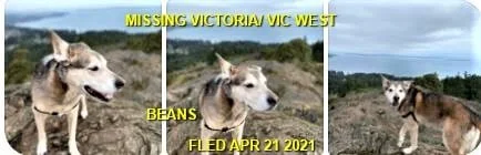 HAPPY ENDINGS - VICTORIA BC - BEANS - APRIL 20, 2021