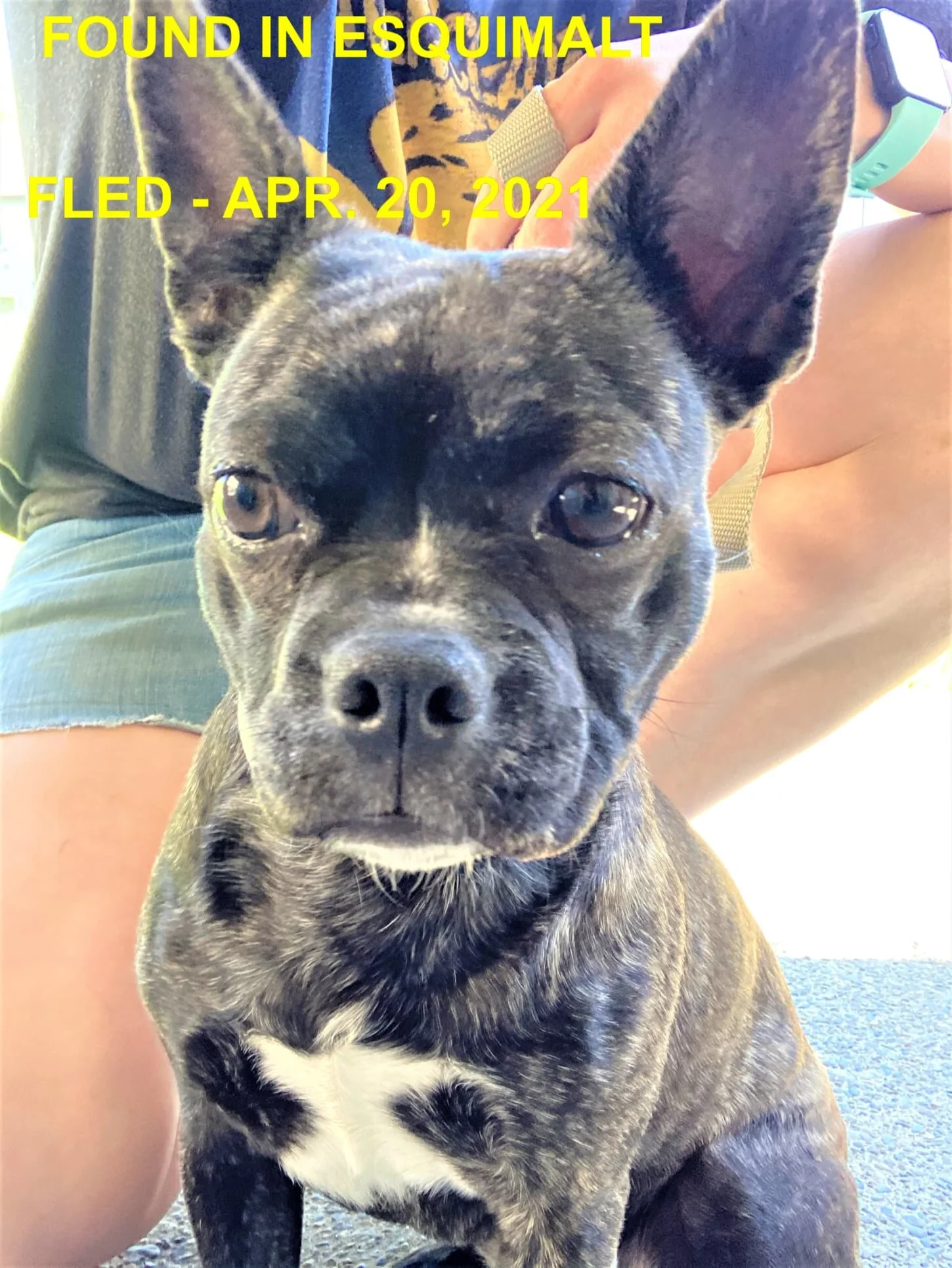 HAPPY ENDINGS - ESQUIMALT BC - APRIL 20, 2021