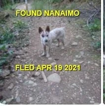 HAPPY ENDINGS - NANAIMO BC - APRIL 19, 2021