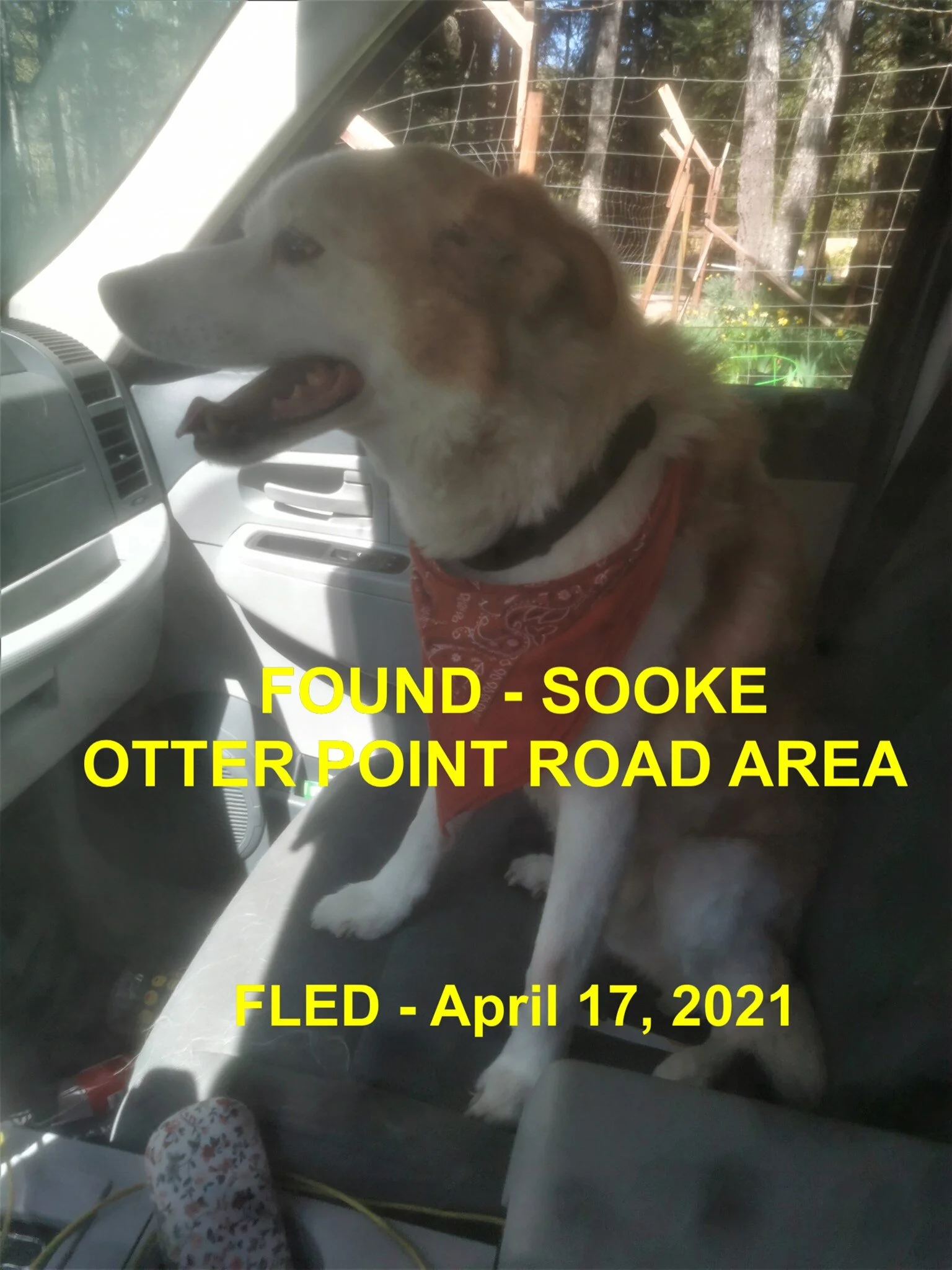 HAPPY ENDINGS - SOOKE BC - CHIEF - APRIL 17, 2021