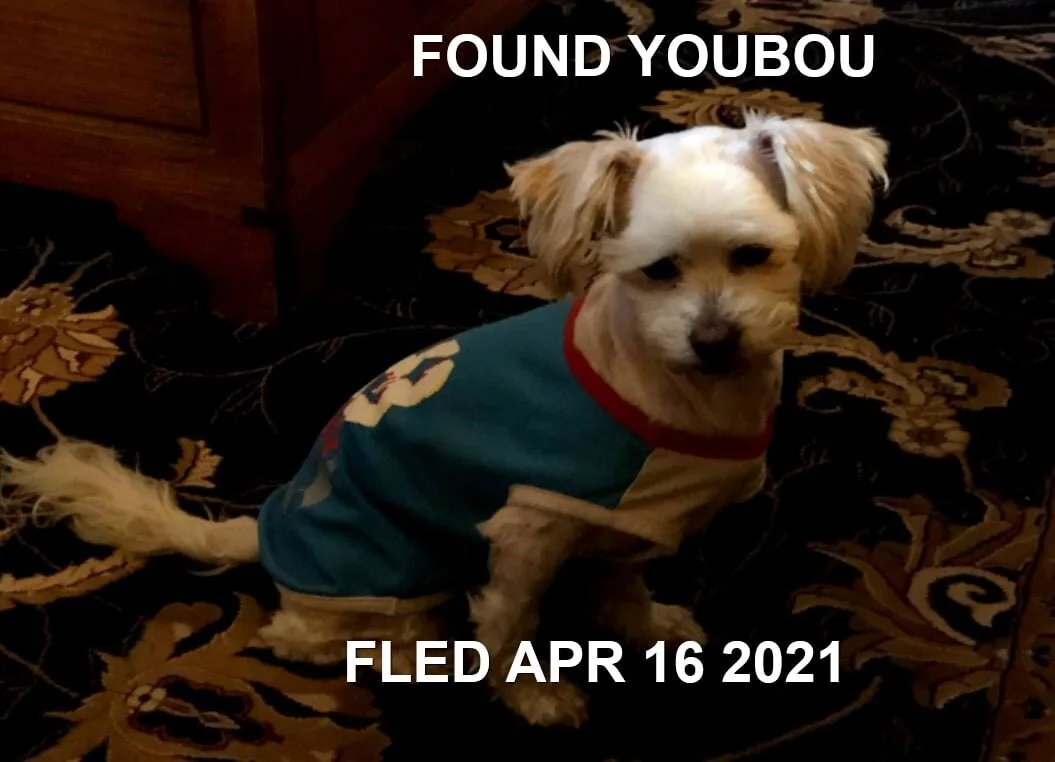 HAPPY ENDINGS - YOUBOU BC - APRIL 16, 2021