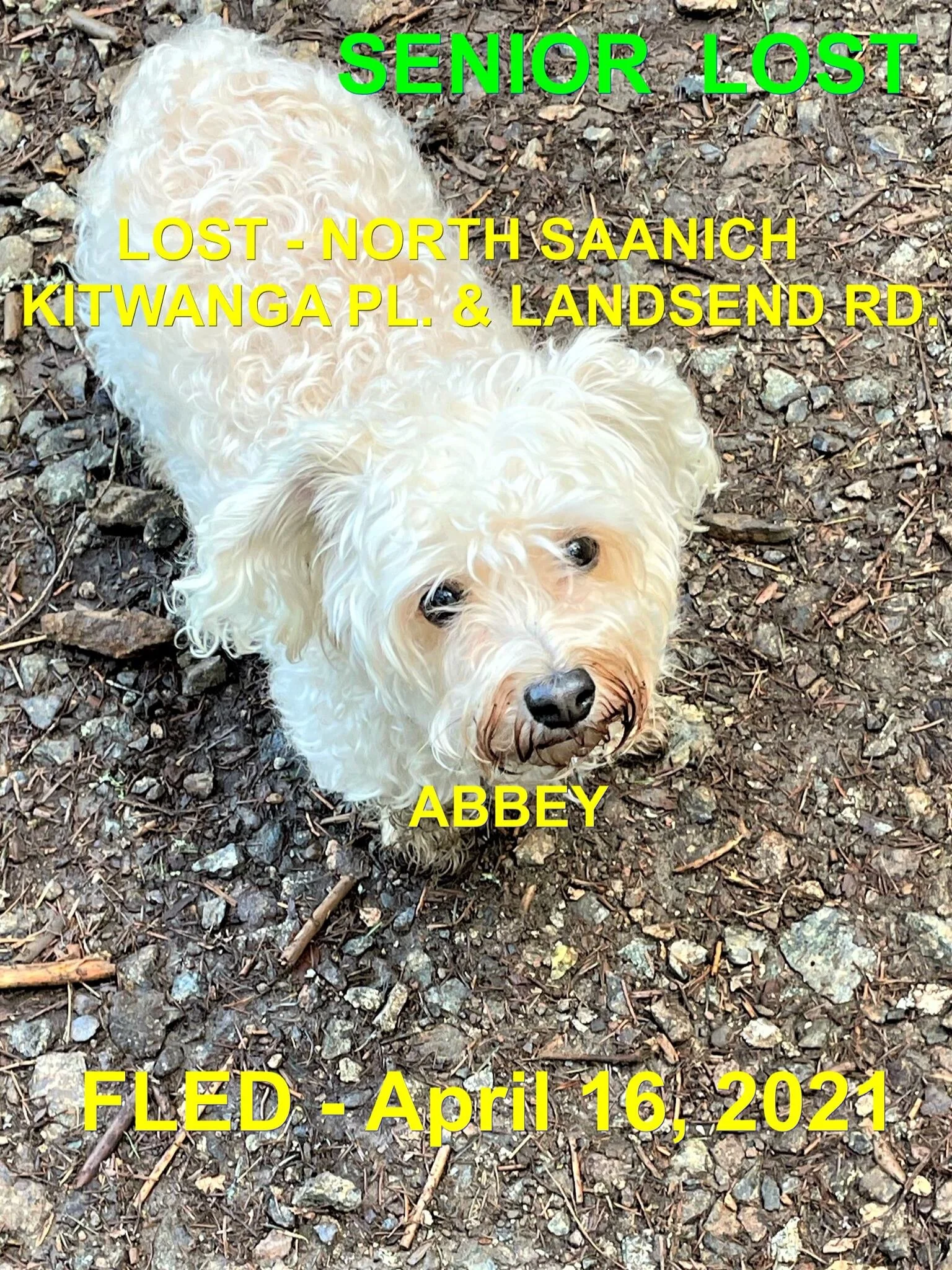 HAPPY ENDINGS - NORTH SAANICH BC - ABBY - APRIL 16, 2021