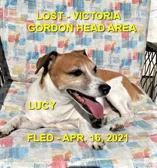 HAPPY ENDINGS - VICTORIA, BC - LUCY - APRIL16, 2021