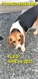 HAPPY ENDINGS - NANAIMO BC - APRIL 16, 2021