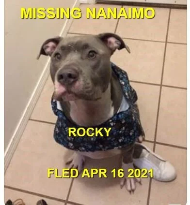 HAPPY ENDINGS - NANAIMO BC - ROCKY - APRIL 16, 2021