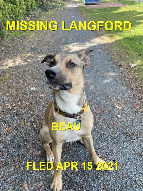 HAPPY ENDINGS - LANGFORD - BEAU - APRIL 15, 2021