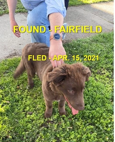 HAPPY ENDINGS - VICTORIA BC - APRIL 15, 2021