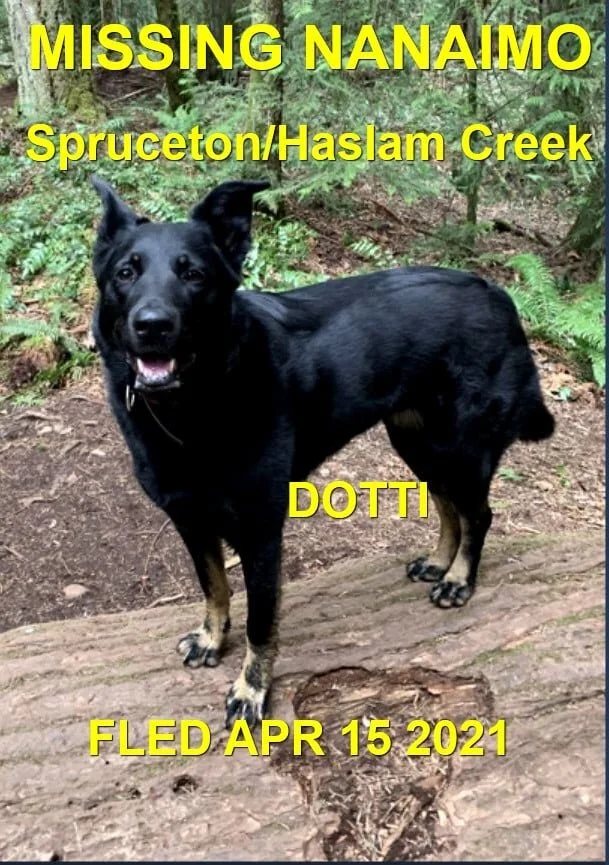 HAPPY ENDINGS - NANAIMO BC - DOTTI - APRIL 15, 2021