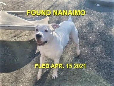 HAPPY ENDINGS - NANAIMO BC - APRIL 15, 2021