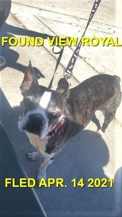 HAPPY ENDINGS -VIEW ROYAL BC - APRIL 14, 2021