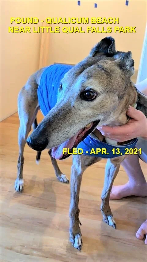 HAPPY ENDINGS - QUALICUM BEACH - APRIL 13, 2021