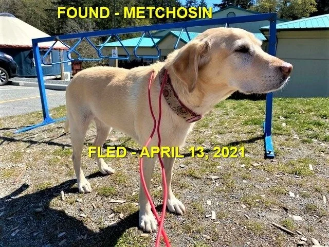 HAPPY ENDINGS - METCHOSIN BC - MOOMOO - APRIL 13, 2021