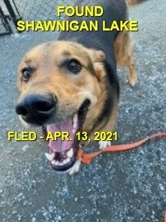 HAPPY ENDINGS - SHAWNIGAN LAKE BC - ZOEY - APRIL 13, 2021